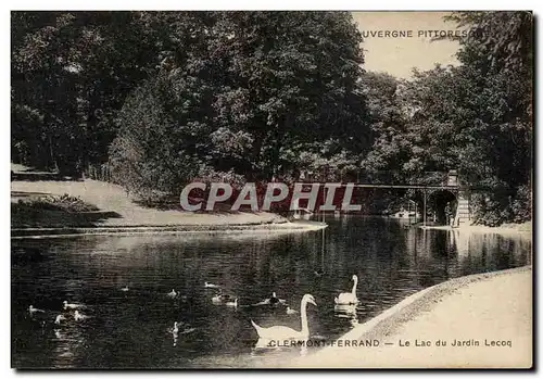 Ansichtskarte AK Clermont Ferrand Le Lac du Jardin Lecoq Cygnes