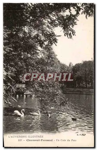 Cartes postales L&#39Auvergne Illustree Clermont Ferrand un Coin du Parc Cygnes