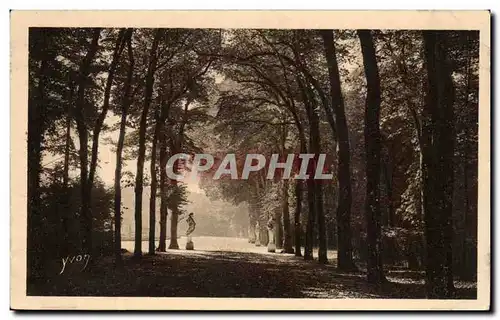 Cartes postales Alle de l&#39Ete Versailles