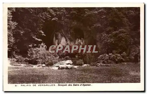 Cartes postales Palais De Versailles Bosquet des Bains d&#39Apollon