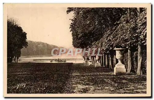 Cartes postales Splendeurs Et Charmes De Versailles Les Jardins Le Tapis Vert et le Bassin d&#39Apollon