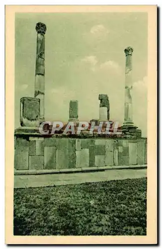 Cartes postales Timgad Tribune aux Harangues Du Forum