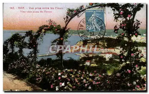 Cartes postales Nice Vue Prise entre les Fleurs