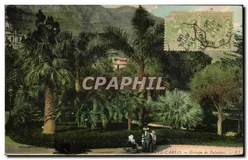 Cartes postales Monte Carlo Groupe de Palmiers