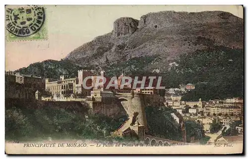 Cartes postales Principaute De Monaco Le Palais du Prime et la Tete de chien