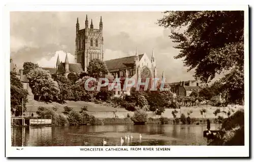 Cartes postales Worcester Cathedral From River Severn