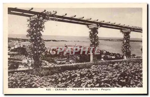 Cartes postales Cannes Vue entre les Fleurs Pergola