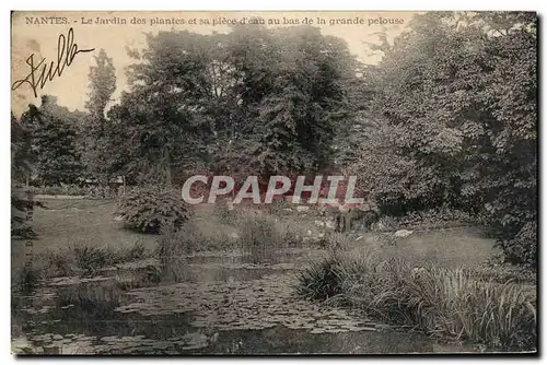 Cartes postales Nantes Le Jardin des plantes et sa piece d&#39eau au bas de la grande pelouse