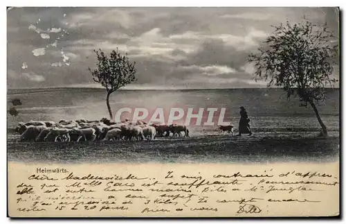 Cartes postales Heimwarts Bergere et moutons