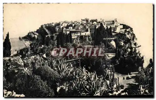 Cartes postales Principaute De Monaco Monaco Le Rocher