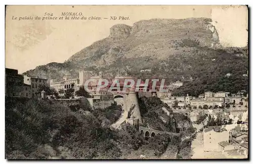 Cartes postales Monaco Le Palais du Prince et la tete du Chien