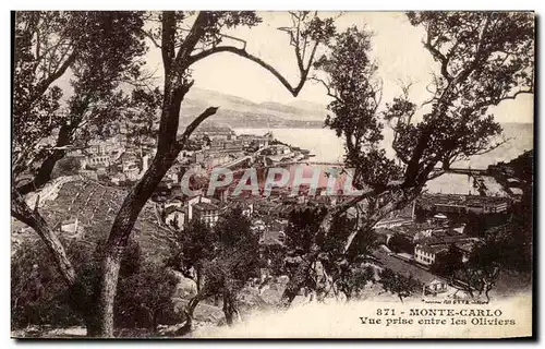 Cartes postales Monte Carlo Vue prise entre les Oliviers