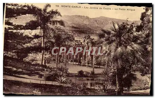 Cartes postales Mont Carlo Les Jardins du Casino La Petite Afrique