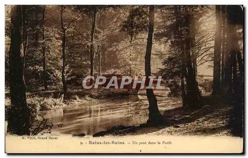 Ansichtskarte AK Bains les Bains Un Pont dans la Foret