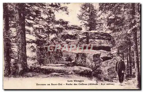 Cartes postales Les Vosges Saint Die Roche des Cailloux