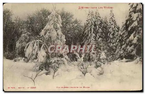 Cartes postales L&#39Hiver Dans Les Vosges Nos arbres charges de neige