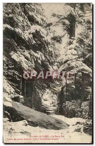 Cartes postales Environs De St Die Le Sapin Sec