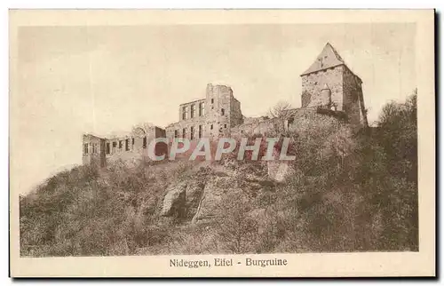 Cartes postales Nideggen Eifel Burgruine