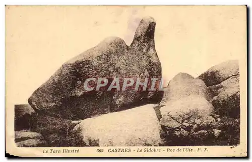 Cartes postales Cordes Le Sidobre Roc de l'Oie