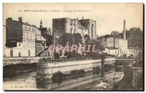 Cartes postales Niort Le Donjon Vue prise de Vieux Ponts
