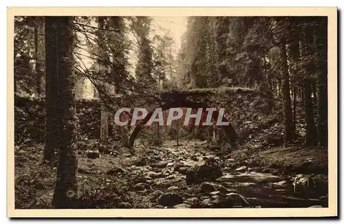 Cartes postales Gerardmer Le Pont des Fees