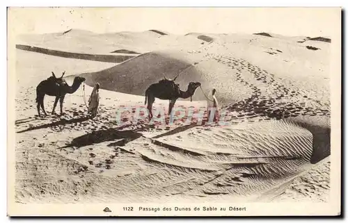 Cartes postales Passage des Dunes de Sable au Desert Chameaux