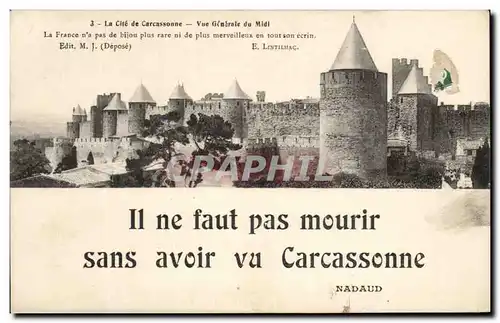Cartes postales La Cite de Carcassonne Vue Generale du Midi