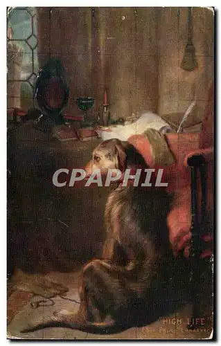 Cartes postales Chien High life Sir Edwin Landseer