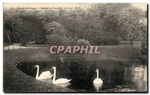 Ansichtskarte AK Bois de Boulogne Chateau de Bagatelle Le Lac Cygnes