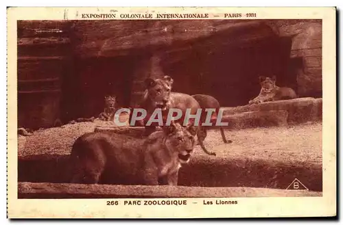 Ansichtskarte AK Exposition Coloniale Internationale Paris 1931 Parc Zoologique Les Lionnes