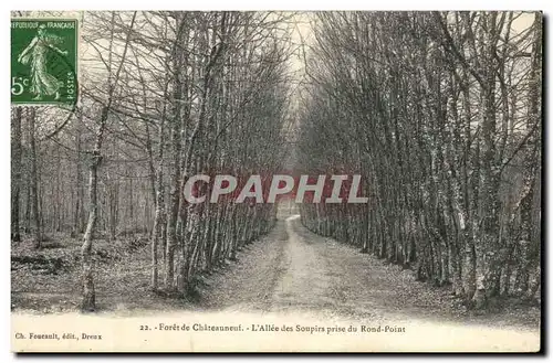 Cartes postales Foret De Chateauneuf L&#39Allee Des Soupirs Prise Du Rond Point