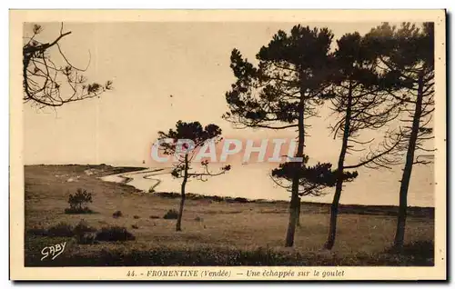 Cartes postales Fromentine Une Echappee Sur Le Goulet