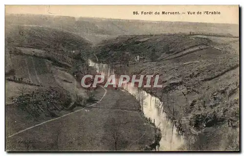 Cartes postales Foret De Mervent Vue De l'Erable