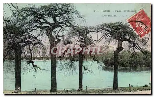 Cartes postales Paris Parc Montsouris Les Saules