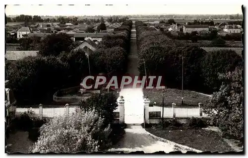 Cartes postales moderne Angliers L'Avenue Du chateau