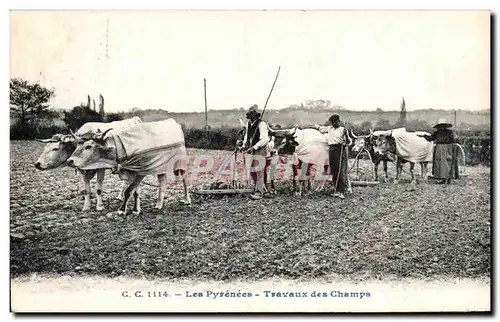 Cartes postales Les Pyrenees Travaux des Champs Folklore Costume Boeufs