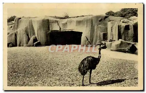 Cartes postales Paris Jardin Zoologique de Vincennes Les Emeus et le Rocher Zoo