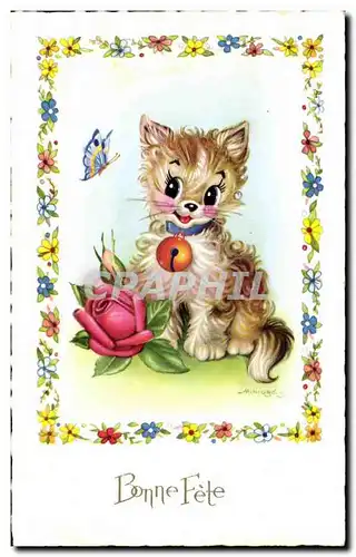 Cartes postales Chat Chaton Papillon