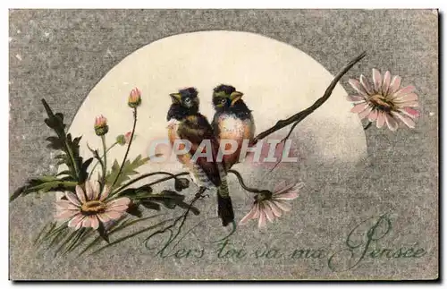 Cartes postales Oiseaux