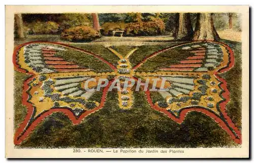 Cartes postales Rouen Le Papillon du Jardin des Plantes