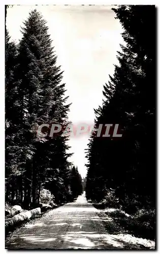 Cartes postales La Franche Comte Pittoresque Chemin En Foret