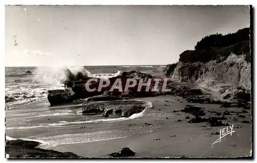 Cartes postales Bretignolles sur Mer La Cote Sauvage