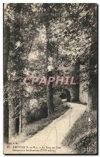 Cartes postales Provins Le Trou Au Chat