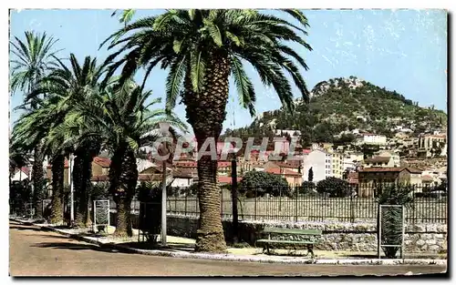 Cartes postales moderne Hyeres Les Palmiers Vue Generale Au Fond La Colline Du Casteou