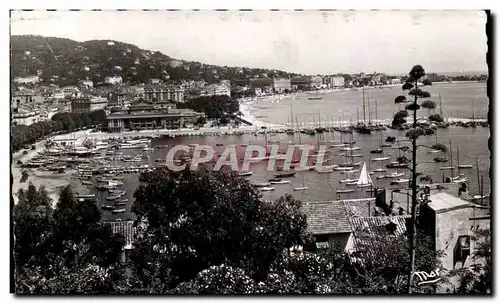 Cartes postales moderne Cannes Le Port