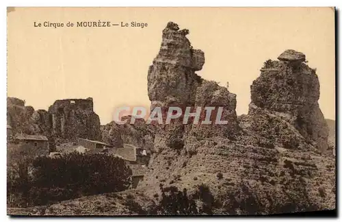 Cartes postales Le Cirque de Moureze Le singe