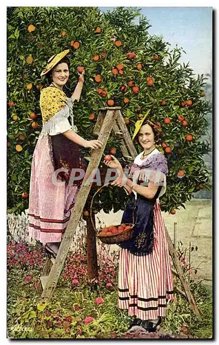 Ansichtskarte AK Cote D&#39Azur Nicoises a la Cueillette des oranges Folklore Costume