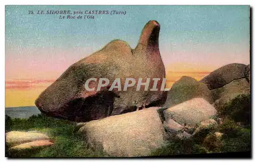 Cartes postales Le Sidobre pres Castres Le Roc de l&#39Oise