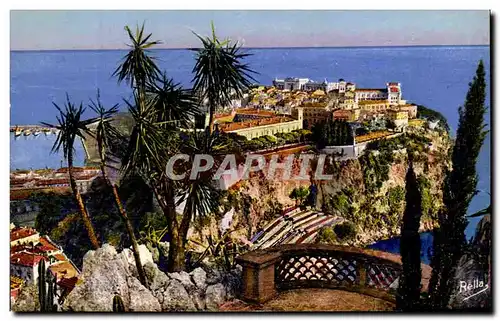 Cartes postales Monaco Le rocher de Monaco vu des Jardins Exotiques