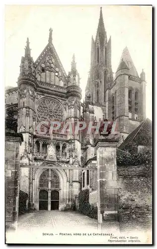 Cartes postales Senlis Portail Nord De la Cathedrale